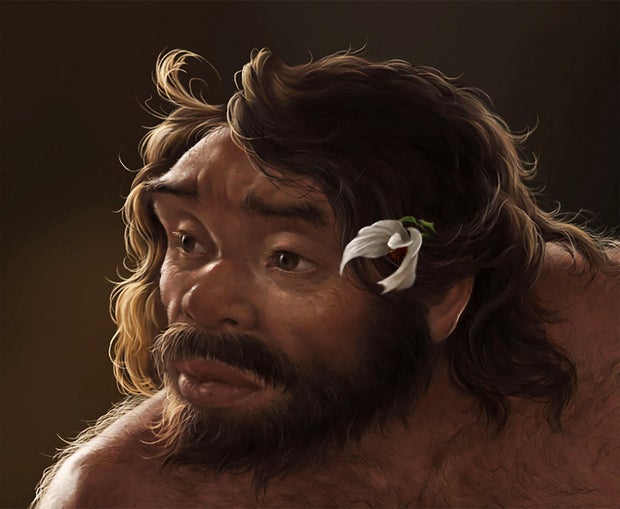 Ancient Skull Could Redefine Human Evolution Timeline
