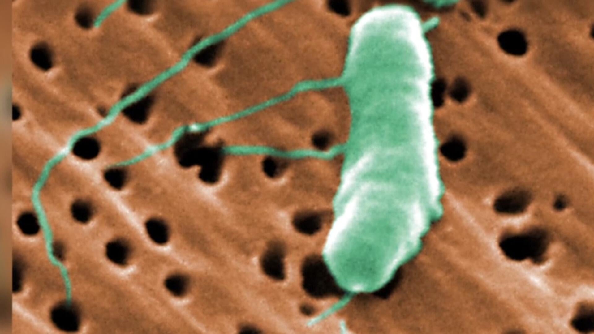 Louisiana: Flesh-Eating Bacteria Claims Fifth Life This Year