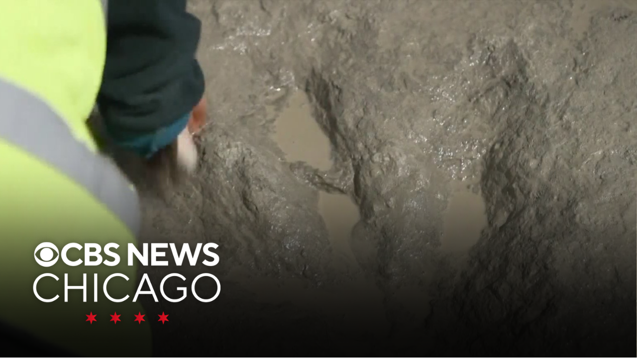 Dinosaur with crocodile leg in its jaws discovered